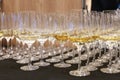 Group of wine glasses at partytime. Hospitality background Royalty Free Stock Photo