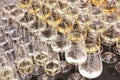 Group of wine glasses at partytime. Hospitality background Royalty Free Stock Photo