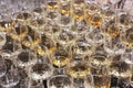 Group of wine glasses at partytime. Hospitality background Royalty Free Stock Photo