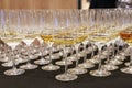 Group of wine glasses at partytime. Hospitality background Royalty Free Stock Photo