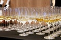 Group of wine glasses at partytime. Hospitality background Royalty Free Stock Photo