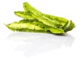A Group Of Winged Bean Vegetable IX Royalty Free Stock Photo