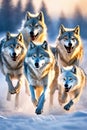 A group of wolfs running in the snow Royalty Free Stock Photo