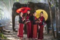 Group woman and Elephant mahout portrait. Elephant Ritual Making or Wild Elephant Catching