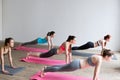 Group women on floor of sports gym doing push ups. Royalty Free Stock Photo