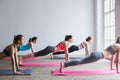 Group women on floor of sports gym doing push ups Royalty Free Stock Photo