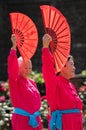 Women with red fans performing Tai Chi Royalty Free Stock Photo