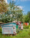 Group of wooden beehives in the garden