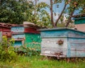 Group of wooden beehives in the garden