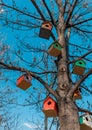 Group of wooden bird house hanging on a tree in front of blue sky. Colorful birdhouse, nesting box for songbirds in park. Royalty Free Stock Photo