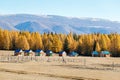 Group of wooden camping cabins in mountains.