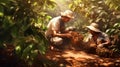 A group of workers harvesting crops.