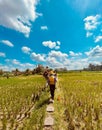 Group of workers seen walking along a sun-drenched rice field plantation Royalty Free Stock Photo