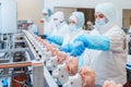 Group of workers working at a chicken factory - food processing plant concepts.Automated production line in modern food factory. Royalty Free Stock Photo