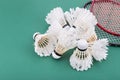 Group of worned out badminton shuttlecock with rackets on court Royalty Free Stock Photo