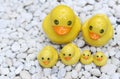 Group of yellow duck statue on white rock garden Royalty Free Stock Photo