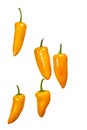 Group of yellow hot jalape o peppers isolated on a white background Royalty Free Stock Photo