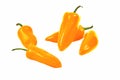 Group of yellow hot jalape o peppers isolated on a white background Royalty Free Stock Photo