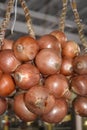 Group of Yellow Onions Braided Together and Hanging