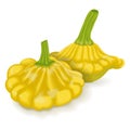 Group of Yellow Patty Pan squash