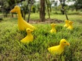 The group of yellow plastic ducks on the ground