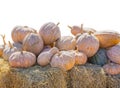 A group of yellow pumpkins on a yellow straw stack with a white background.File contains a clipping path Royalty Free Stock Photo