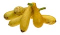 Group of yellow summer squash on a white background Royalty Free Stock Photo