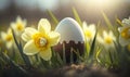 a group of yellow and white flowers next to an egg in the grass with the sun shining on the grass behind it and a brown egg in Royalty Free Stock Photo