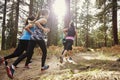 Group of young adult women running in a forest, back view Royalty Free Stock Photo