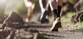 People trail running on a mountain path Royalty Free Stock Photo