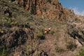 Group of young adults training and running together through trails on the hillside outdoors in nature Royalty Free Stock Photo