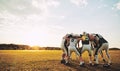 American football players in a huddle during practice