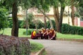 Group of young Buddhist monks sitting in garden Royalty Free Stock Photo