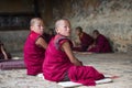 Two Bhutanese young novice monk turn their head to look you when during study , Bhutan