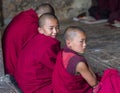 A naughty Bhutanese young novice monk makes faces to his friend when during study , Bhutan