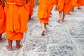 Group of young Buddhist novice monks walking