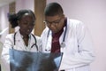 A group of young doctors, mixed race. In the corridor of the hospital, doctors look at X-rays, solving medical problems