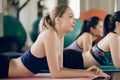 Group of young females practicing yoga in gym Royalty Free Stock Photo