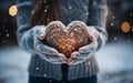 Snowy Love Young Girls Hands Holding Heart. Hands in mittens holding a snow heart in the snow Royalty Free Stock Photo
