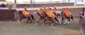 Female riders in orange dress with flowers