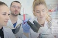 Group of young Laboratory scientists working at lab with test tu Royalty Free Stock Photo