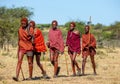 Group of young Masai warriors are walking along the savannah in traditional clothing.