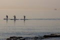 Group of young people doing SUP. Stand up paddle board couple paddleboarding .Selective focus. People blured with water spray.