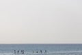 Group of young people doing SUP. Stand up paddle board couple paddleboarding .Selective focus. People blured with water spray.