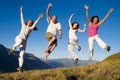 Group Young People Jumping Field Concept Royalty Free Stock Photo