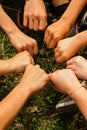 A group of young people made a circle with their fists on a background of grass, a symbol of unity, success and friendship