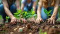 Group of young people planting trees in park. Environment, ecology, care of nature concept Royalty Free Stock Photo