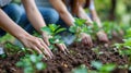 Group of young people planting trees in park. Environment, ecology, care of nature concept Royalty Free Stock Photo