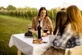 Young people sitting by the table and drinking red wine in the v Royalty Free Stock Photo