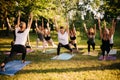 Group of young sporty handsome women practicing yoga lesson with instructor Royalty Free Stock Photo